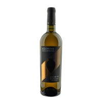 Rkatsiteli Qvevri Megwine