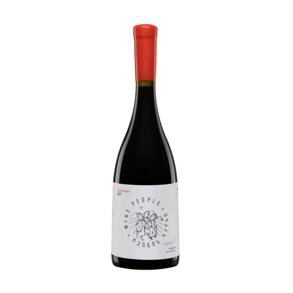 Dzelshavi Rot trocken Wine people