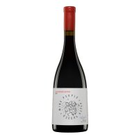 Otskhanuri Sapere von Tamar Urotadze Wine people
