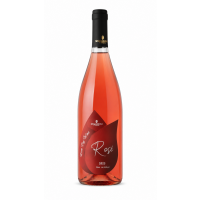 Saperavi Rose Shaloshvili